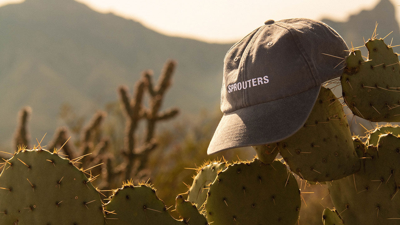 A Sprouters skate shop hat sits on top of a cactus in the hot Texas desert